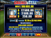 Cricket Star Screenshot 3