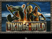 Vikings Go Wild Screenshot 1