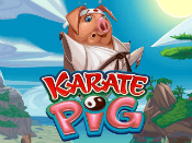 Karate Pig Screenshot 1