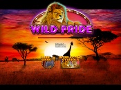 Wild Pride Screenshot 1