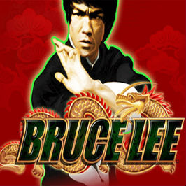 Bruce Lee: Fire of the Dragon Logo