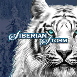 Siberian Storm Logo