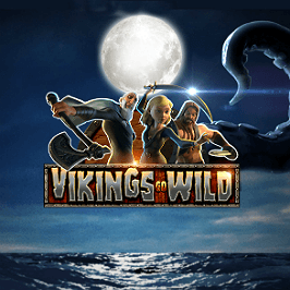 Vikings Go Wild Logo
