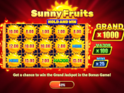 Sunny Fruits: Hold and Win Screenshot 1
