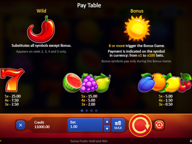 Sunny Fruits: Hold and Win Screenshot 2