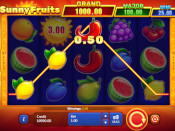 Sunny Fruits: Hold and Win Screenshot 4