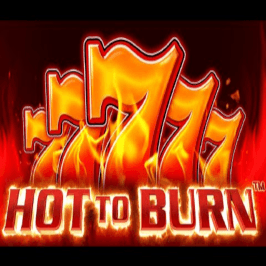 Hot To Burn Logo