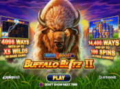 Buffalo Blitz II Screenshot 1