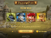 Feline Fury Screenshot 1