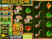 Wild Wild Riches Screenshot 3
