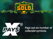 Monkey's Gold Screenshot 1