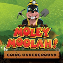 Moley Moolah Logo