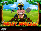 Moley Moolah Screenshot 1